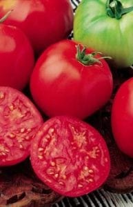 Men laying new hardwood flooring