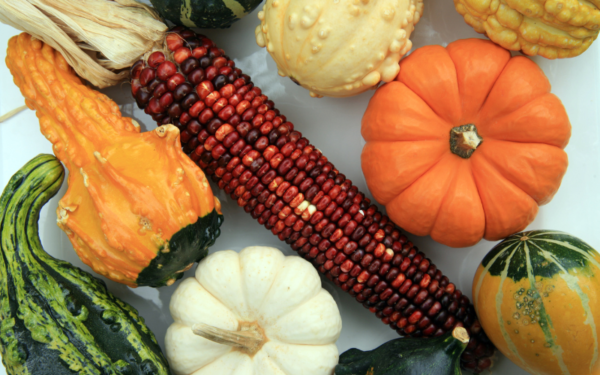 Fall Veggies