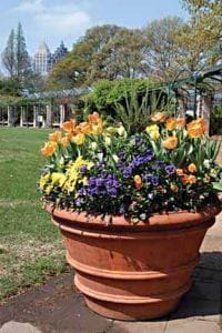 Men laying new hardwood flooring