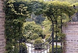 Men laying new hardwood flooring