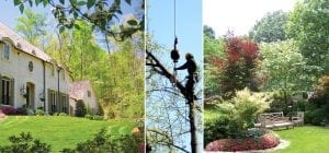 Men laying new hardwood flooring