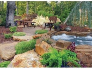 Beat Out the Drought