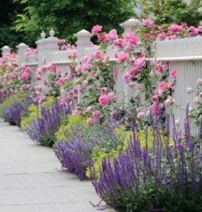 May 2012 garden planner