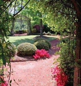 Atlanta Spring