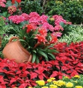 August 2012 Garden Planner