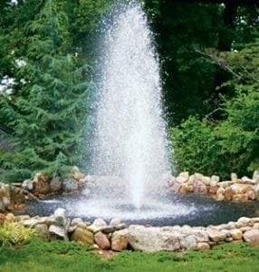 Ponds and water features