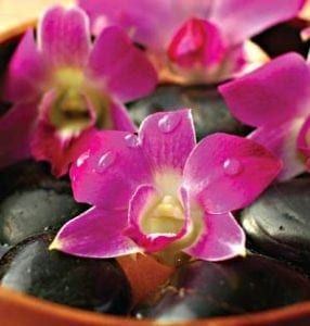 Garden Planner - 0112