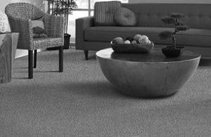 Living room with Eco-friendly carpet