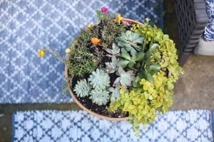 Men laying new hardwood flooring