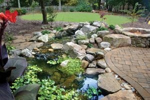landscape, pond with firepit