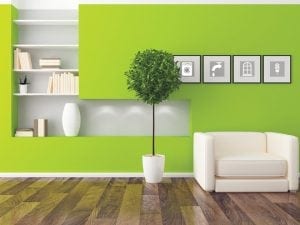 Living Room Design with wall painted green