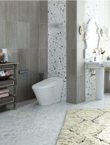 Noland Smartflush Toilet