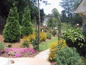 back yard color