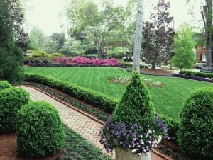 Scapes Front Yard