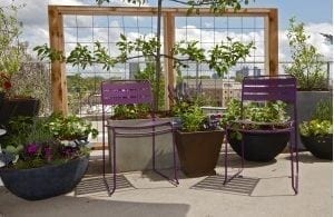 Purple Chairs