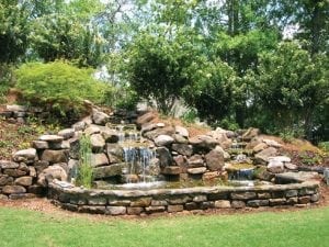 From Barren to Blooming