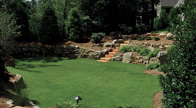 Atlanta backyard featuring a green fescue lawn, stone retaining wall, brick steps and shrub beds with pine straw mulch.