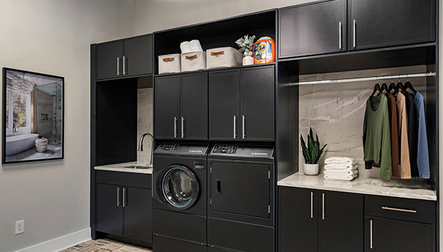Washer and dryer with a built in pet care system